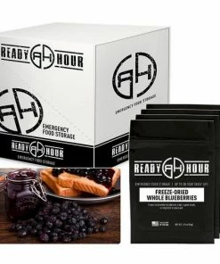 Fruits Ready Hour Freeze-Dried Blueberries Case