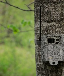 SPYPOINT 4 - LED CAMERA SECURITY BOX