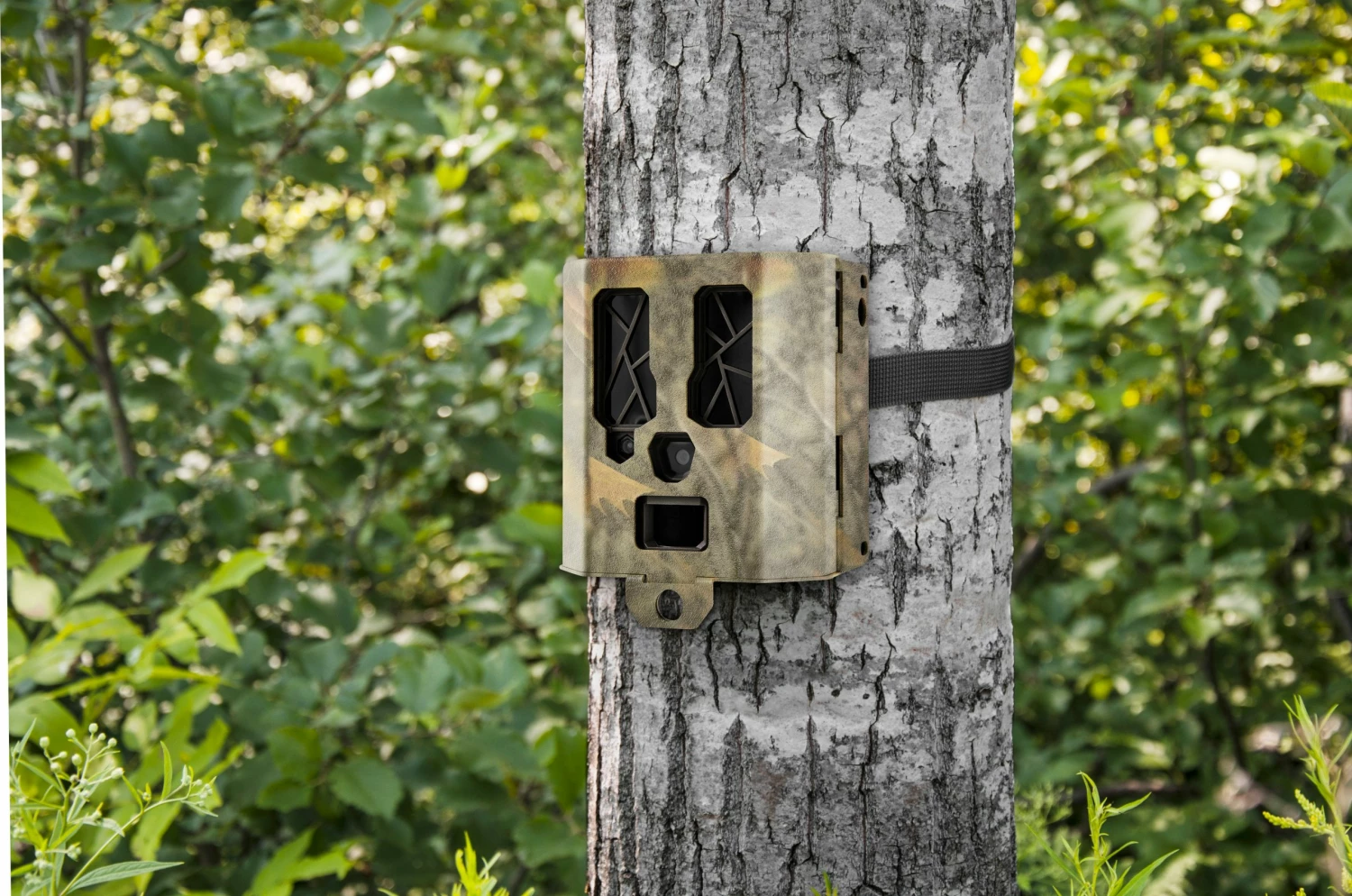 SPYPOINT STEEL SECURITY BOX FOR 48 LEDS SPYPOINT CAMERAS 6 SPYPOINT STEEL SECURITY BOX FOR 48 LEDS SPYPOINT CAMERAS