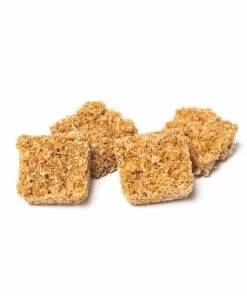 Solo Stove Starters Gear