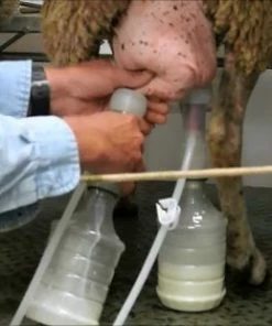 Udderly EZ EZ - ULTIMATE EZ MILKER Home, Farm & Garden