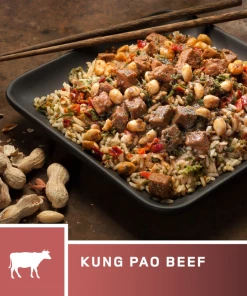 Backpacking Meals AlpineAire Kung Pao Beef