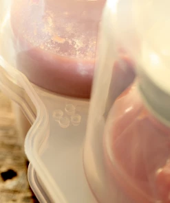 Food & Food Storage Roots & Harvest Safe Crate For Pint Jars