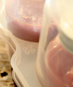 Food & Food Storage Roots & Harvest Safe Crate For Jelly Jars