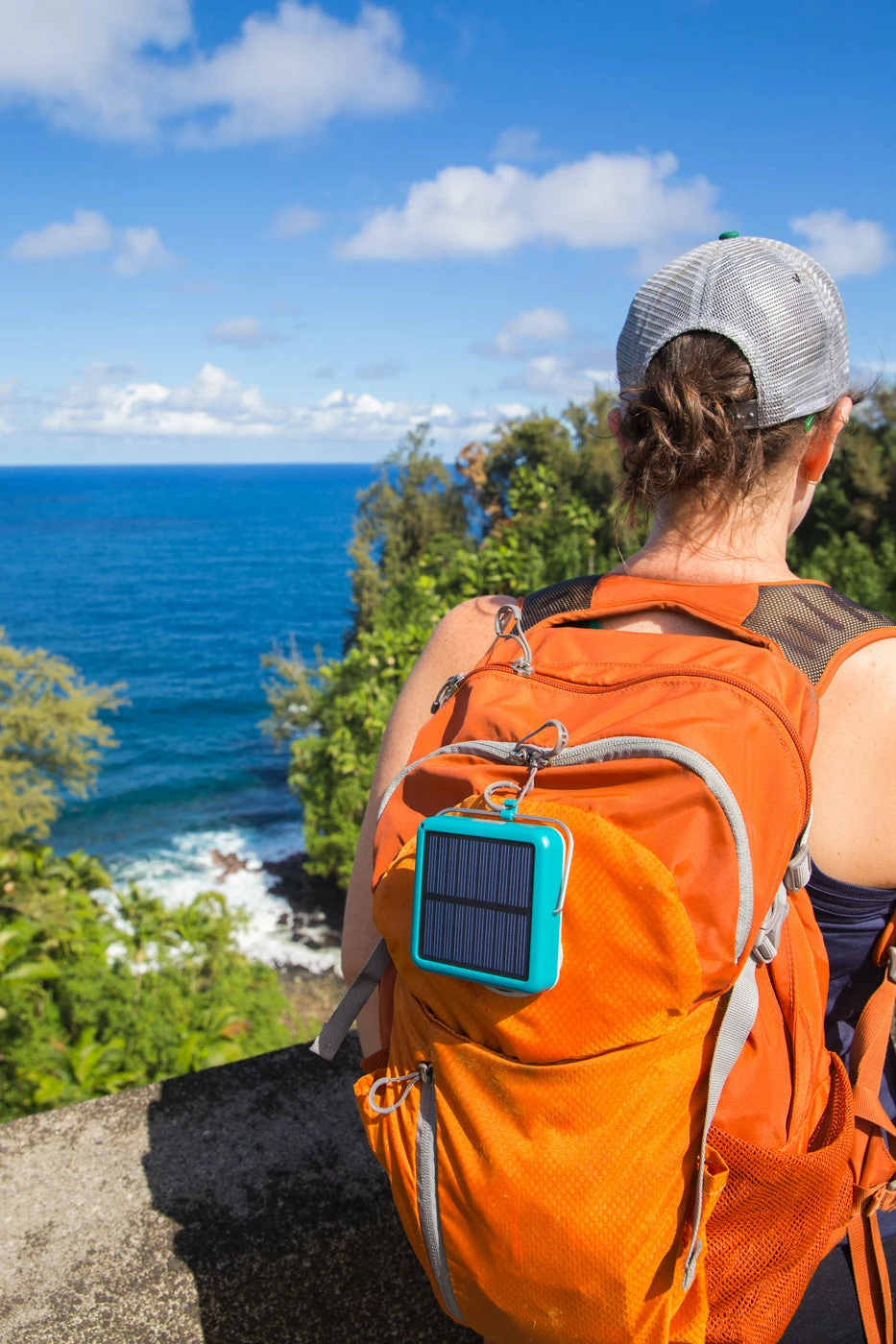 BioLite Sunlight 100 12 BioLite Sunlight 100