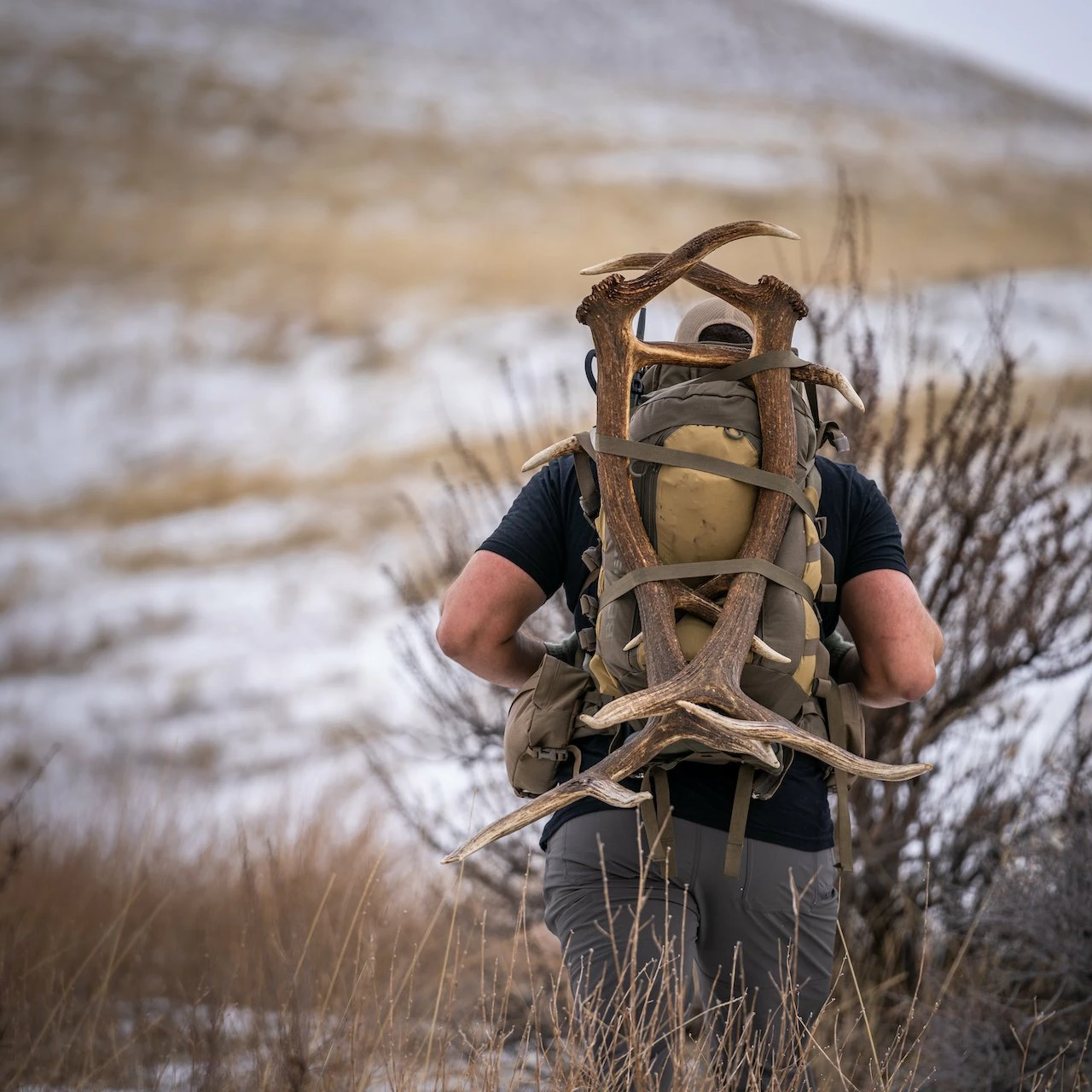 EBERLESTOCK VAPOR 2500 - MAINFRAME COMPATIBLE 10 EBERLESTOCK VAPOR 2500 - MAINFRAME COMPATIBLE