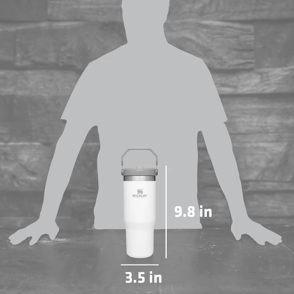 STANLEY THE ICEFLOW FLIP STRAW WATER BOTTLE 17 Oz. 9 STANLEY THE ICEFLOW FLIP STRAW WATER BOTTLE 17 Oz.