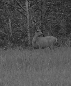 X-Vision Digital Night Vision Monocular-XANB60 17 X-Vision Digital Night Vision Monocular-XANB60