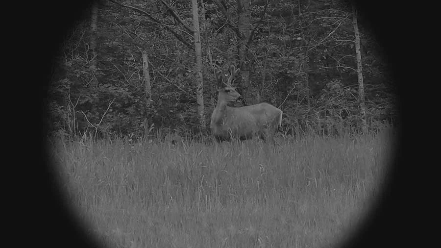 X-Vision Digital Night Vision Monocular-XANB60 9 X-Vision Digital Night Vision Monocular-XANB60