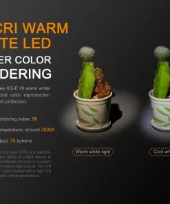 FENIX LD02V2.0 70 LUMENS PENLIGHT WITH UV LIGHT Flashlights