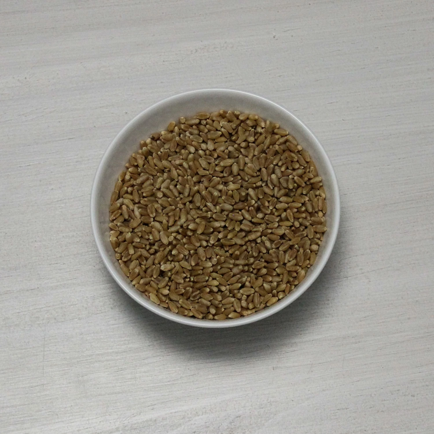 Augason Farms Hard White Wheat 5 Augason Farms Hard White Wheat