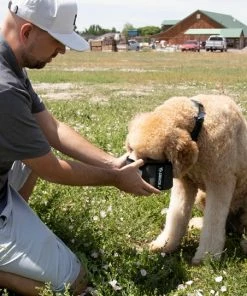 Klymit Travel Dog Bowl Dogs 9 Klymit Travel Dog Bowl Dogs