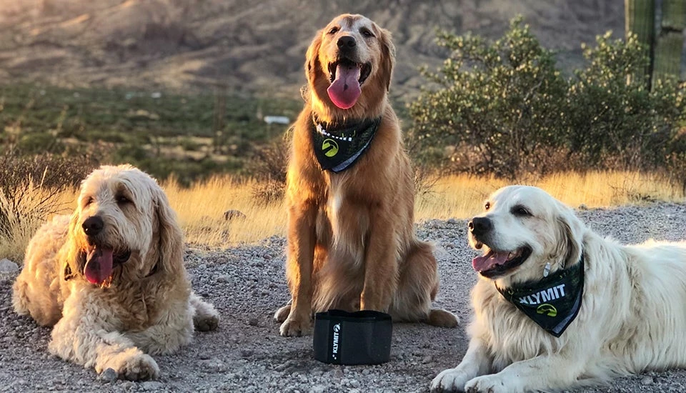 Klymit Travel Dog Bowl Dogs 4 Klymit Travel Dog Bowl Dogs